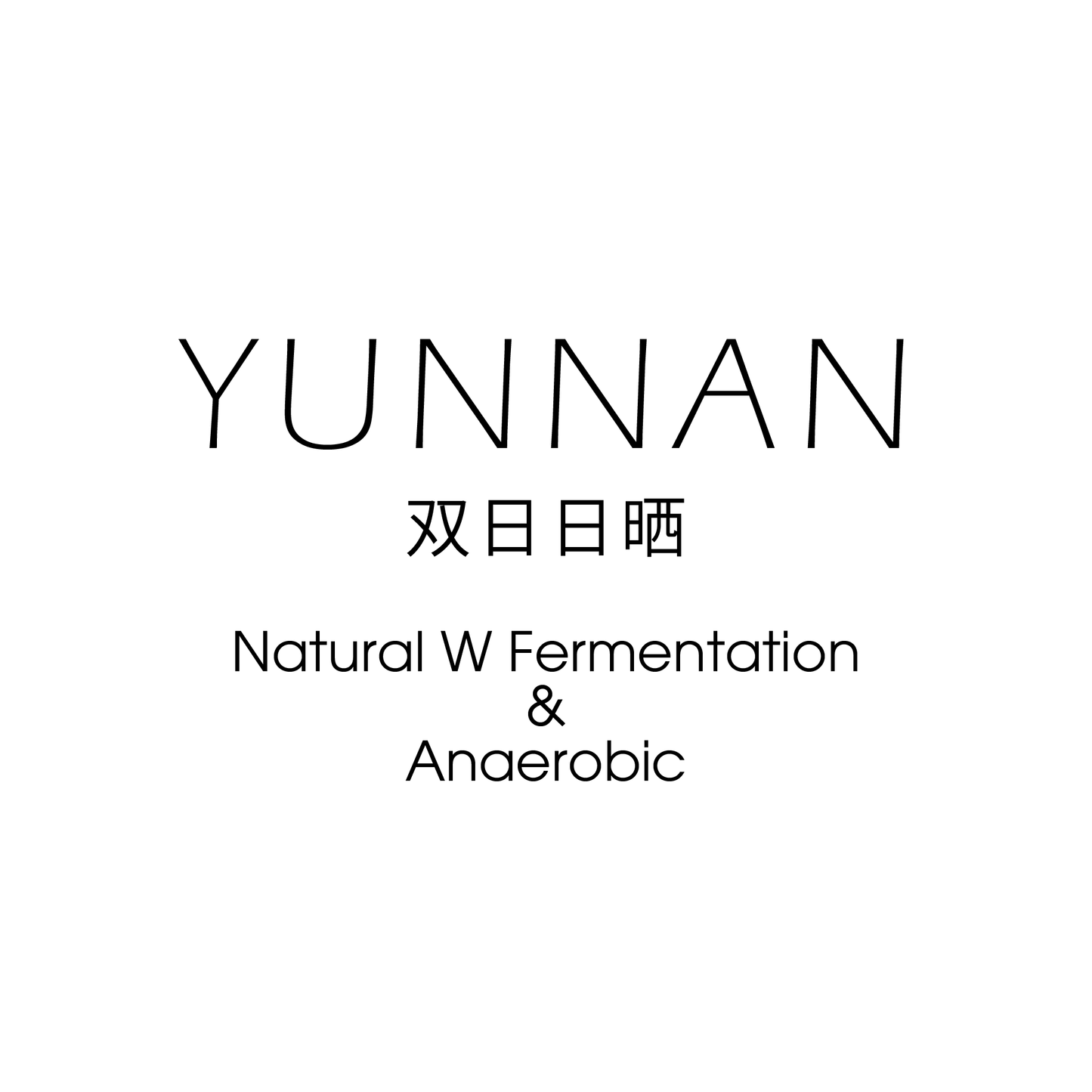 雲南YUNNAN 双日日晒 Natural W Fermentation & Anaerobic