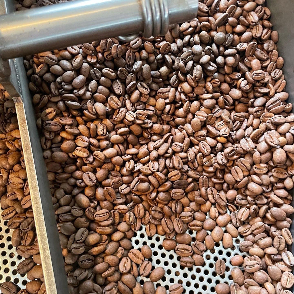 焙煎したてコーヒー豆　卸価格